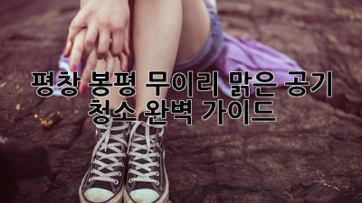 평창 봉평 무이리 맑은 공기 청소 완벽 가이드