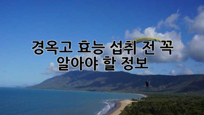 경옥고 효능: 섭취 전 꼭 알아야 할 정보