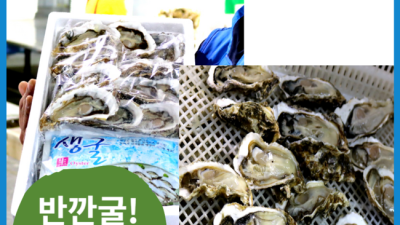 겨울 제철 굴 맛있게 즐기기! 석화통영생굴세척 후기 & 꿀팁 대방출 ✨