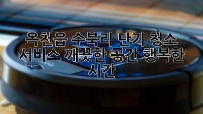 옥천읍 수북리 단기 청소 서비스: 깨끗한 공간, 행복한 시간